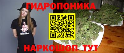 трава Шебекино