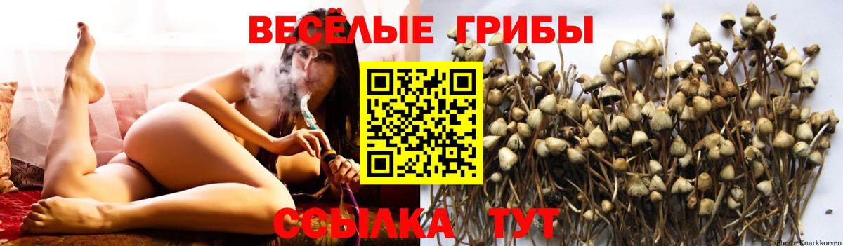 Псилоцибиновые грибы ЛСД Белогорск