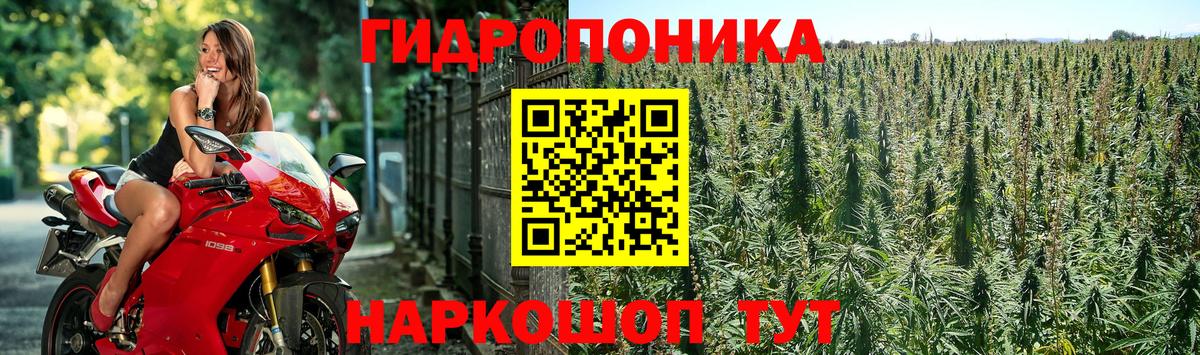 МАРИХУАНА гибрид  Вход с VPN  Белогорск  Бошки марихуана планчик  Бошки марихуана Bruce Banner 